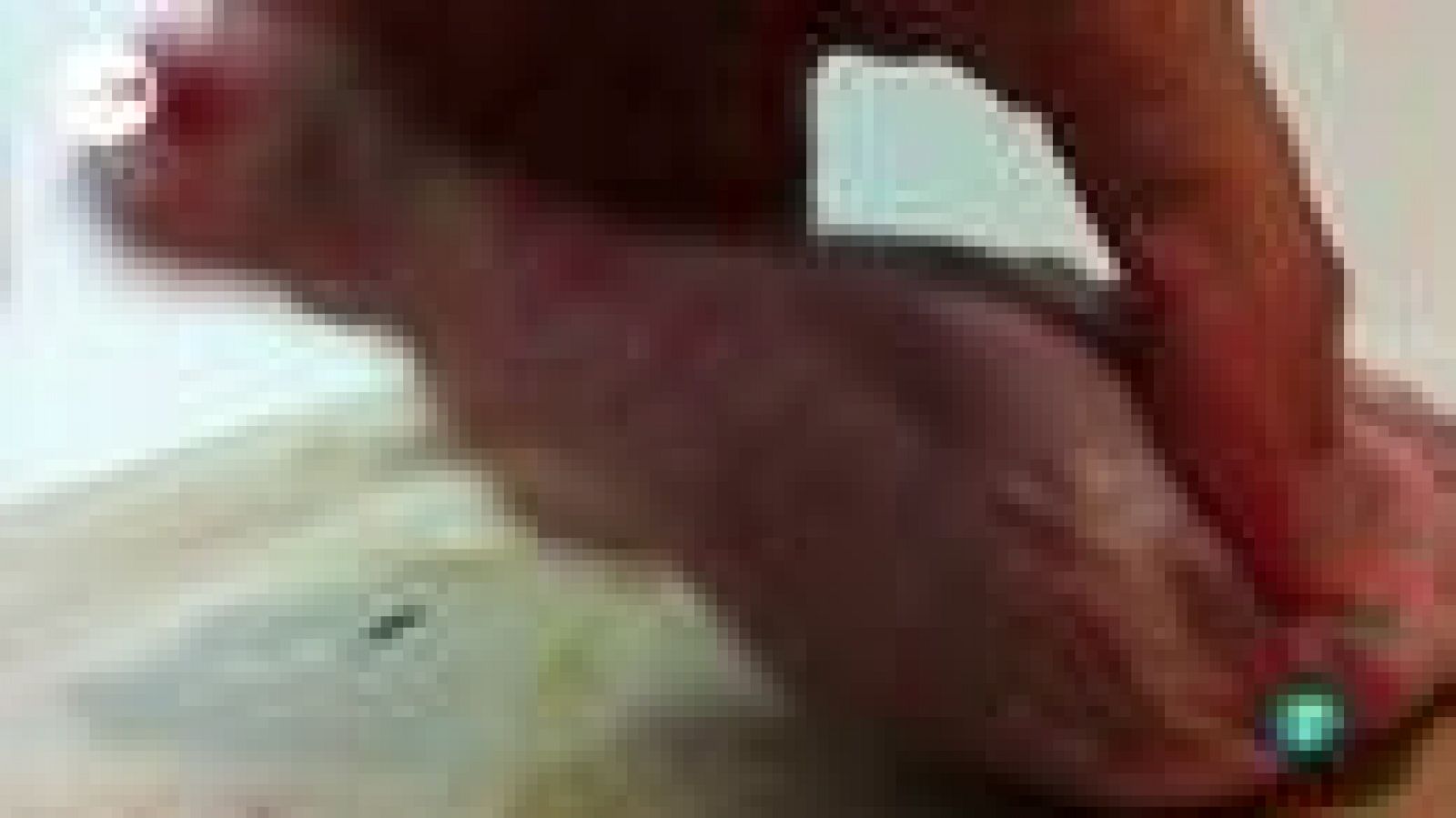 tres14 - curiosidades científicas - Dieta neandertal