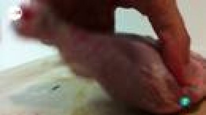 tres14 - Dieta neandertal