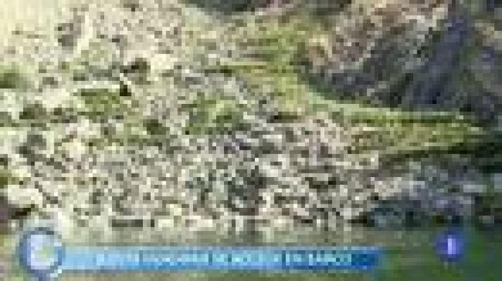 +Gente - A esta vendimia hay que ir en barco