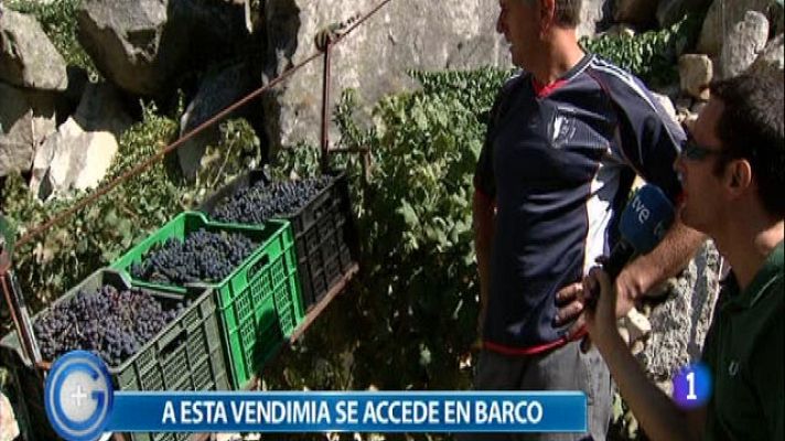 +Gente - A esta vendimia hay que ir en barco