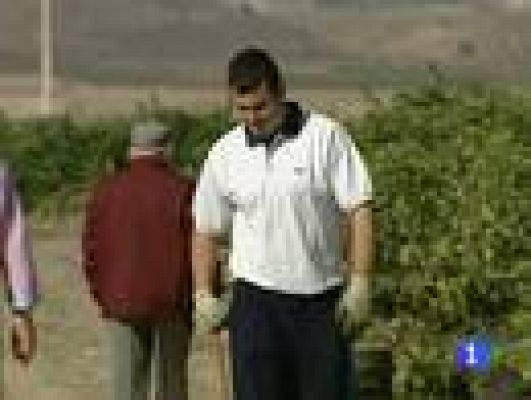 Telediario 1 - La vendimia, negocio familiar y hobby