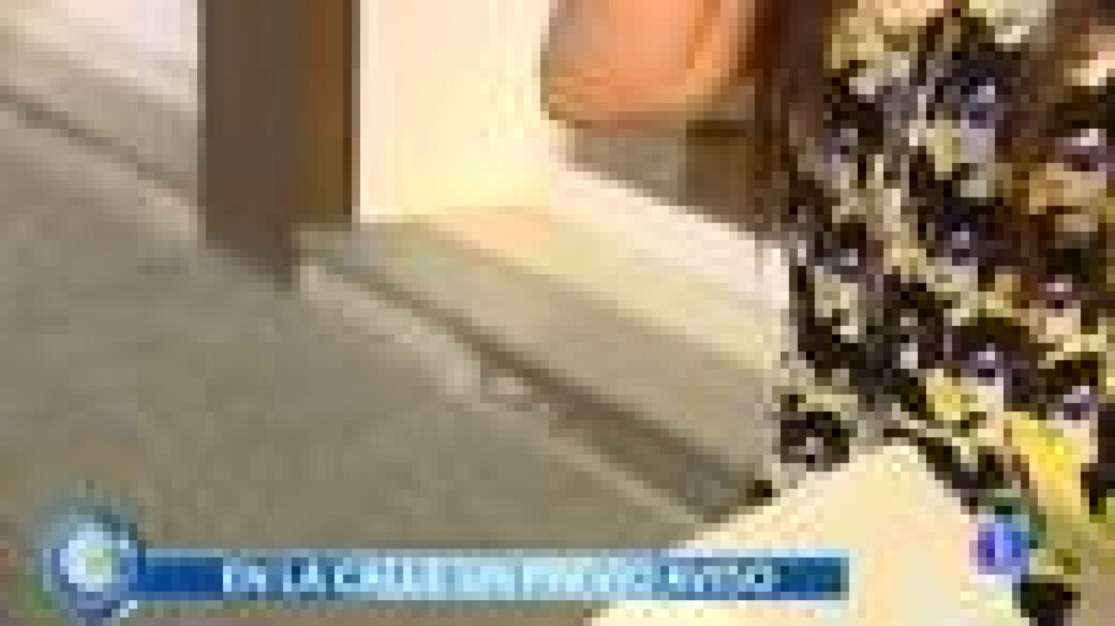 Más Gente - Más Respuestas - Desahucio sin previo aviso