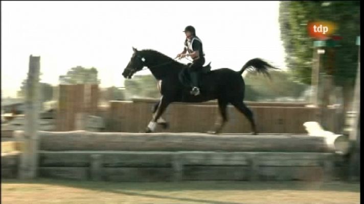 Hípica - Hípica - Final Concurso