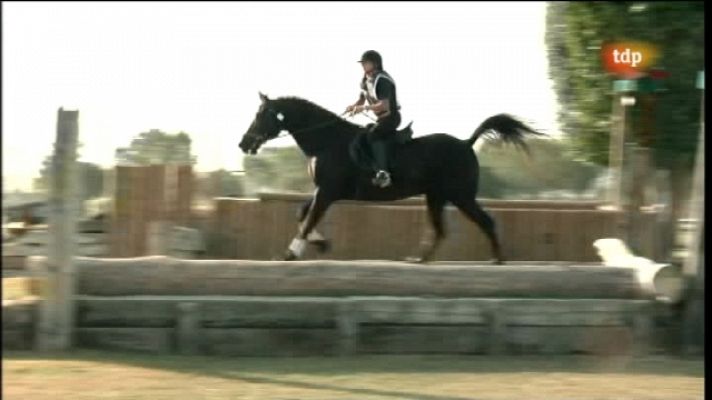 Hípica - Hípica - Final Concurso