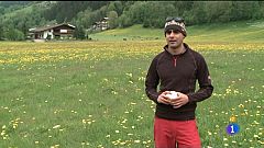 Españoles en el mundo - El Tirol