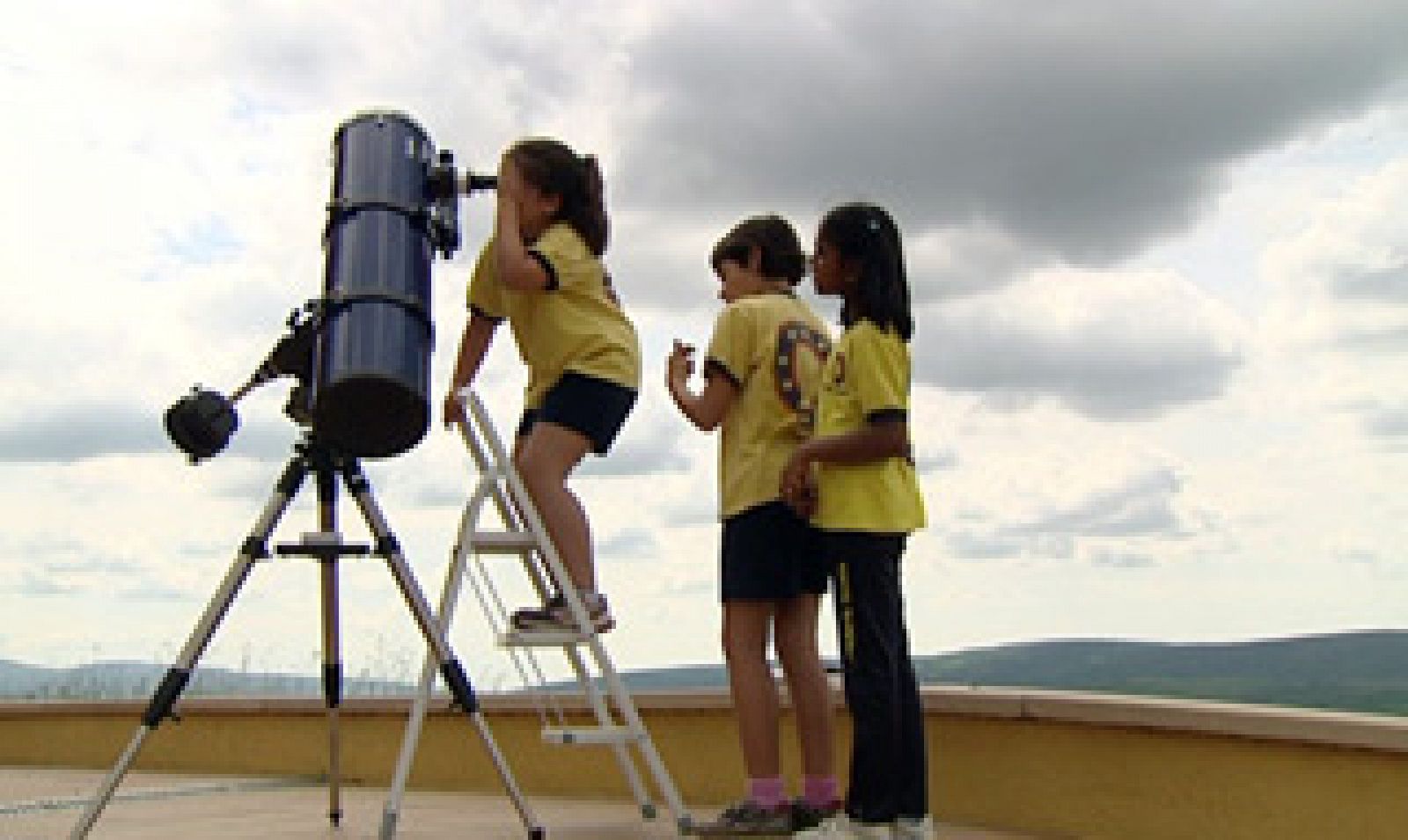 El escarabajo verde -  El coleccionista de estrellas