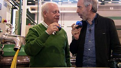 Jaén. A los olivaritos voy por las tardes