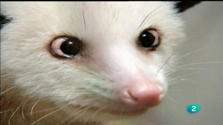 La 2 Noticias - La 2 Noticias - 28/09/11