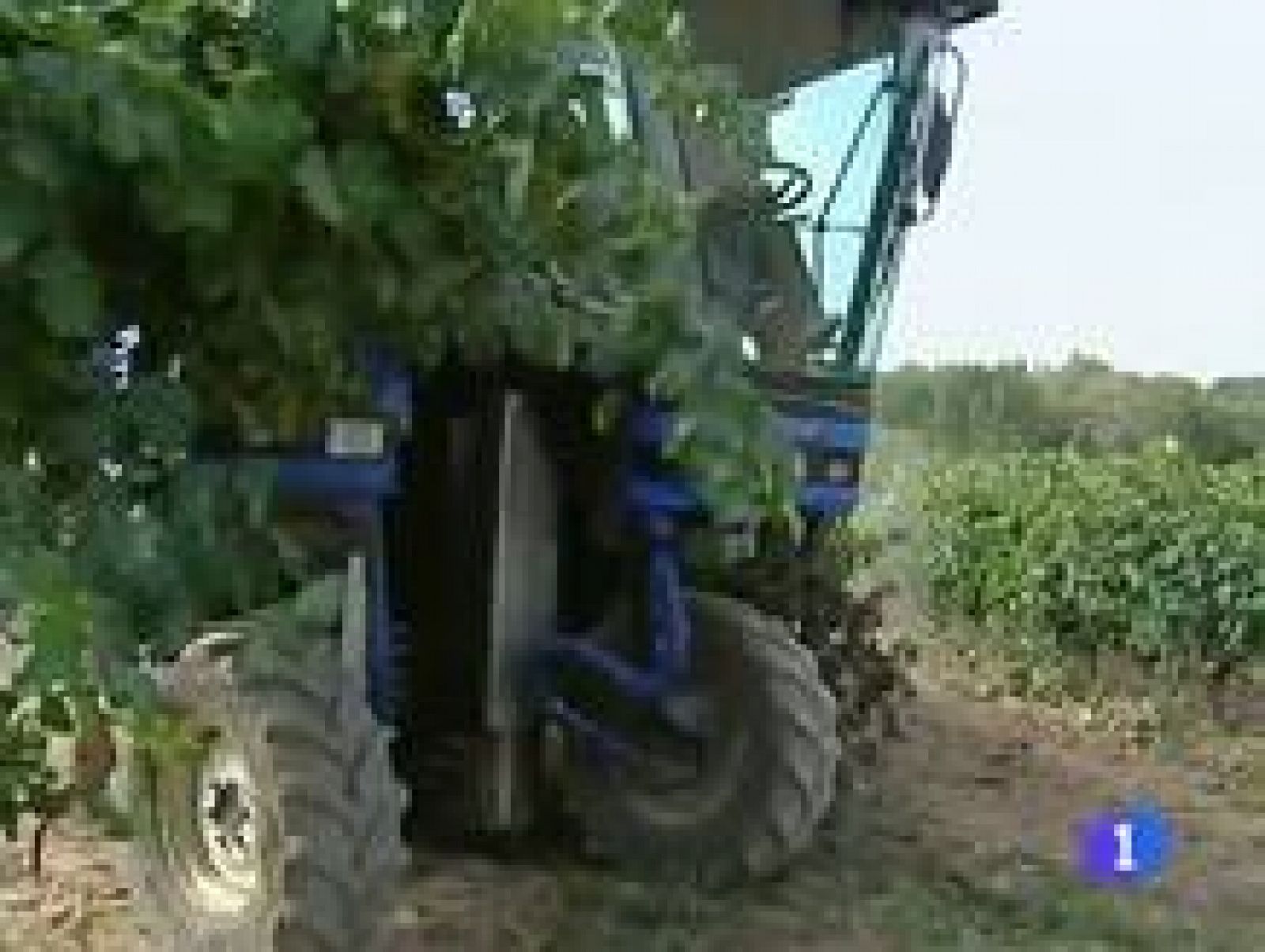 La Rioja en 2' 29/09/2011