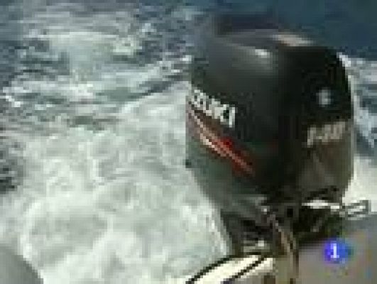 Telediario 1 - Los evacuados de El Hierro regresan a sus casas