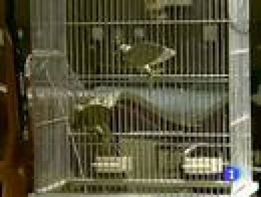 Telediario 1 - Objetos imposibles