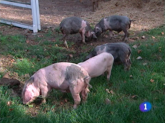 Panorama Regional - Panorama Regional 30-09-2011