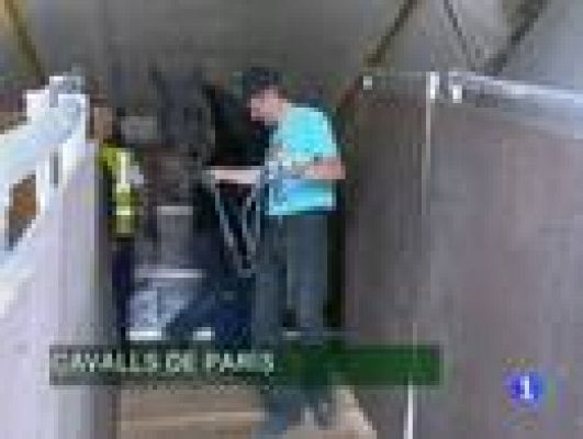 Informatiu Balear - Informatiu Balear en 2' - 30/09/11