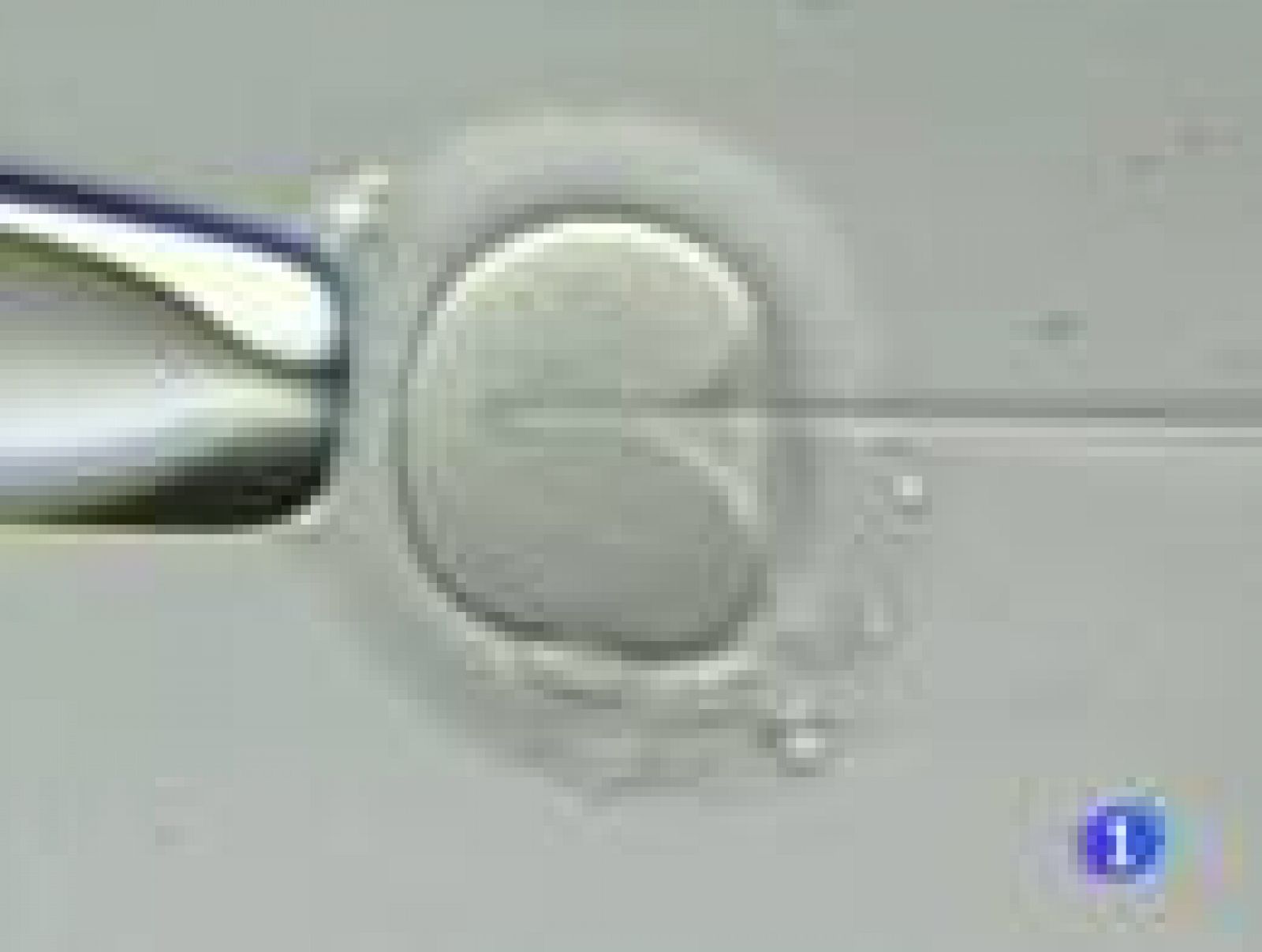 Simulador que enseña como insertar un espermatoziode dentro del óvulo