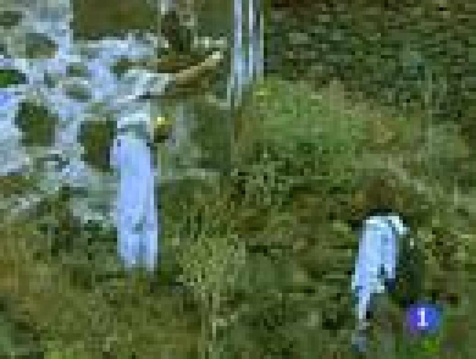 Los vecinos de Frontera vuelven a casa