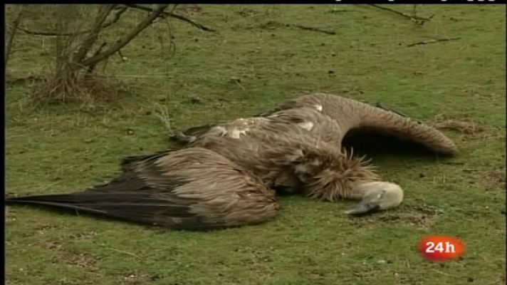 España en 24h - España en 24 horas - 30/09/11