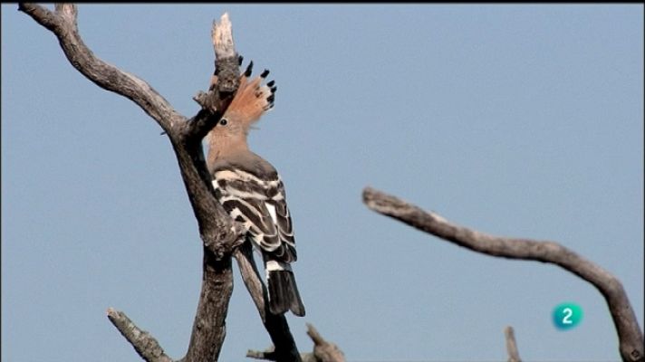 Biodiario - Biodiario - 30/09/11