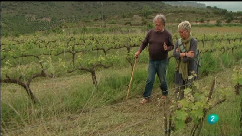 El escarabajo verde - Permacultura - Ver ahora 