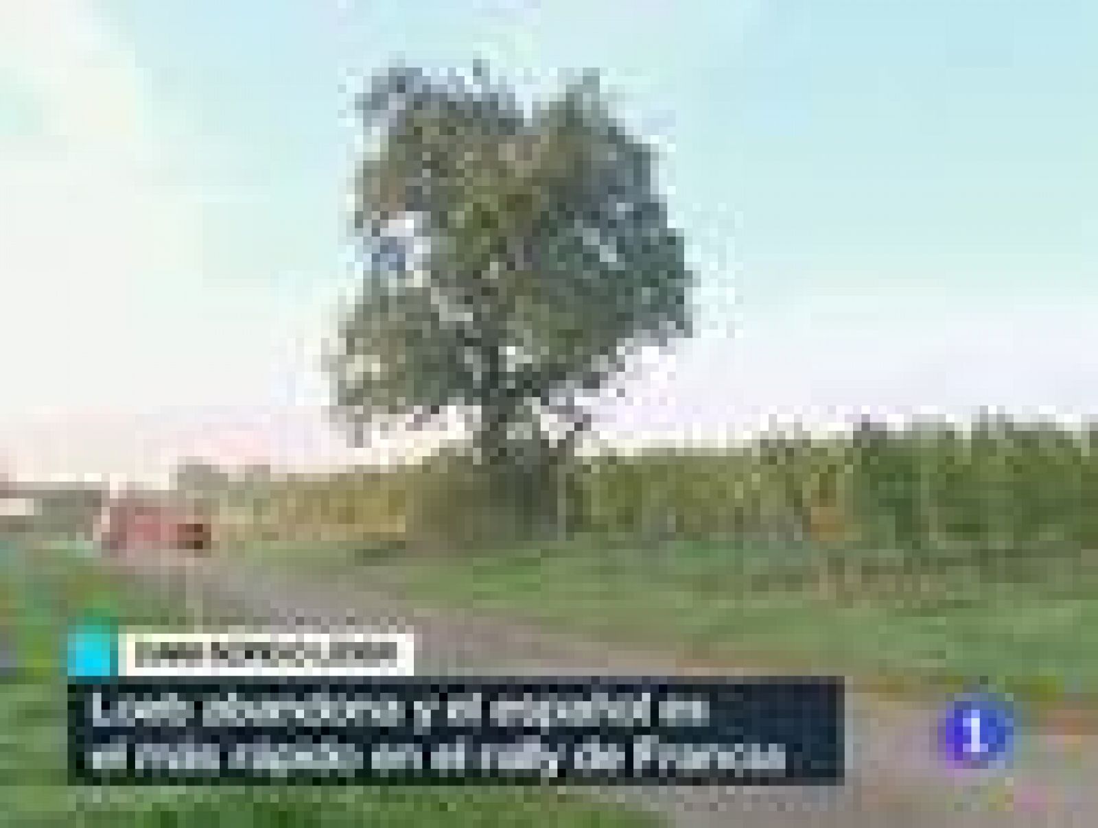 Sordo, líder en el Rally de Francia | Ver