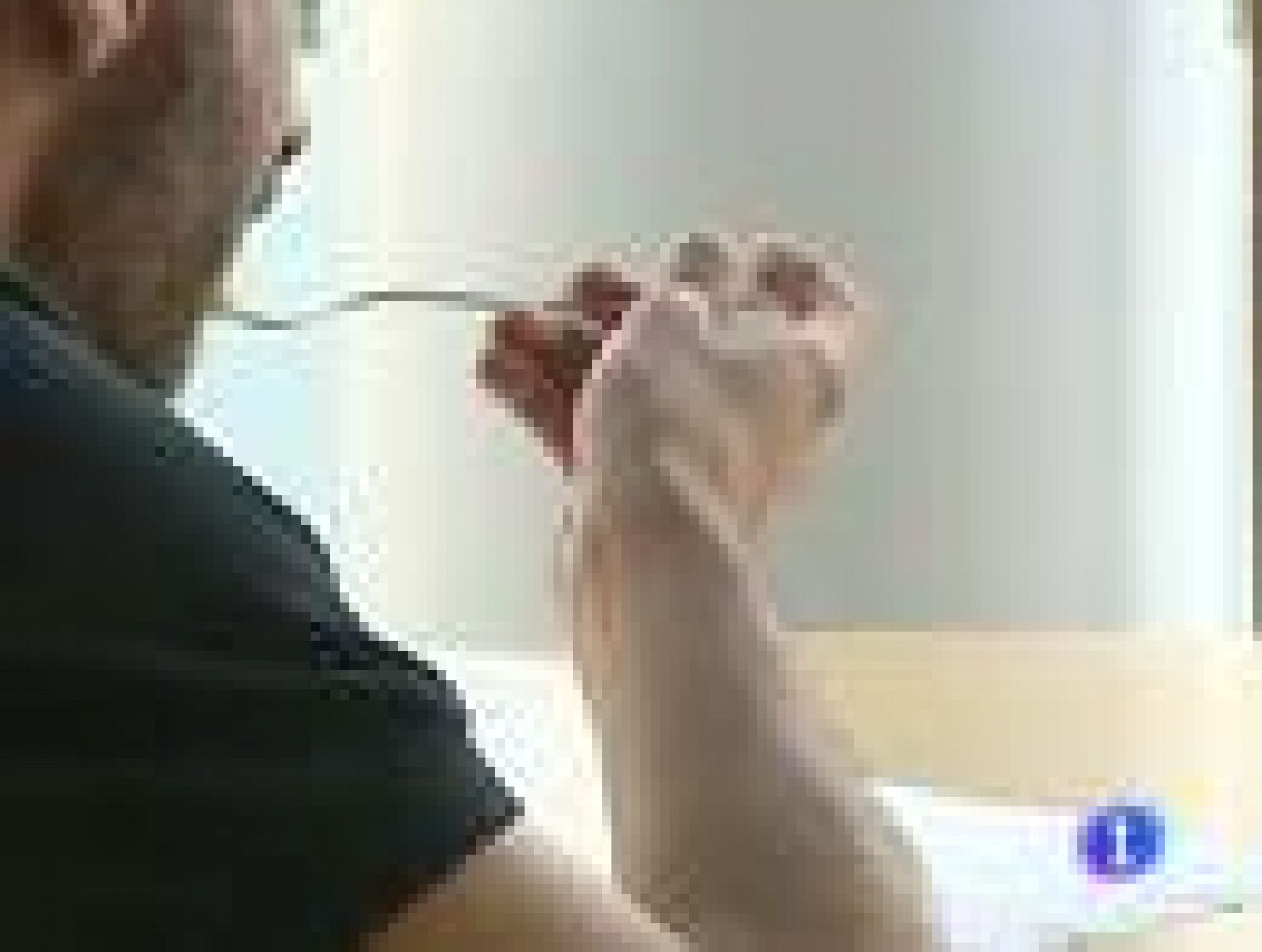 Pasamos mucho tiempo en nuestro trabajo pero producimos poco