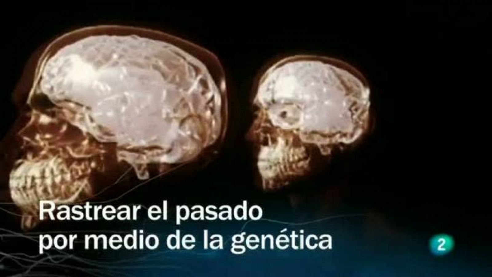 Redes - Rastrear el pasado por medio de la genética - Ver ahora