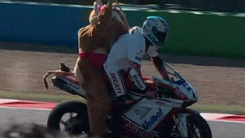Resumen del GP de Magny Cours, donde Carlos Checa se ha proclamado campeón del mundo de Superbike
