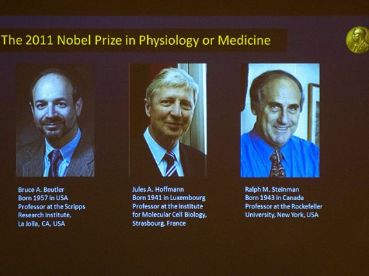 Informativo 24h - Premio Nobel de Medicina para Beutler, Hoffmann y Steinman por estudios sobre inmunidad