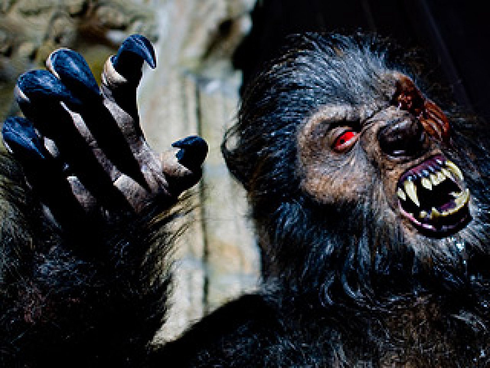 El tráiler de 'Lobos de Arga', en primicia en RTVE.es