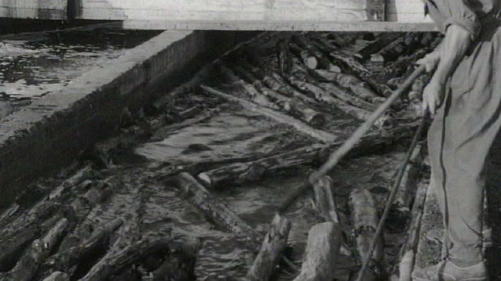 ¿Te acuerdas? - Los inicios de la reforestación