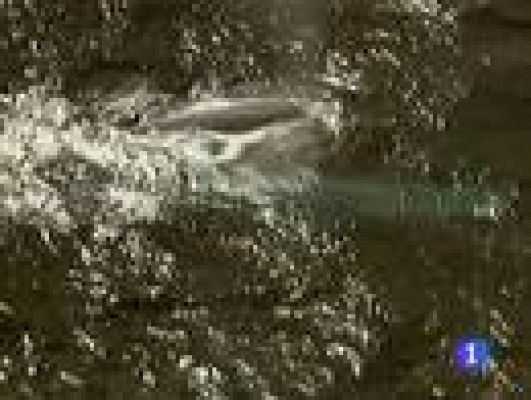 Telediario 1 - Carreras de 'máquinas bestiales'