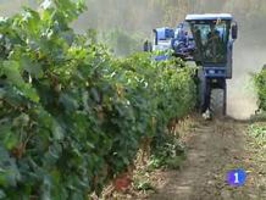 Informativo Telerioja - Telerioja 4/10/2011