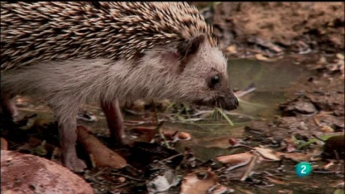 Biodiario - Biodiario - 04/10/11