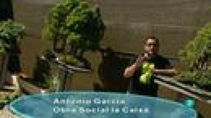 La aventura del Saber - Experimentos Cosmocaixa: Bonsáis I