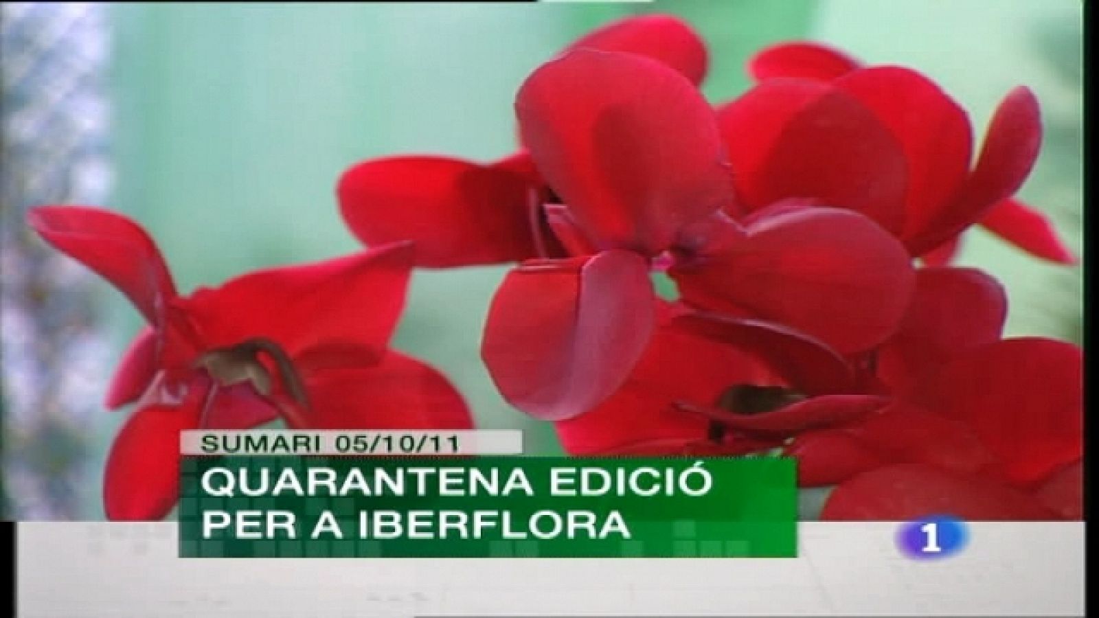 Comunidad Valenciana en 2' - 05/10/11 - Ver ahora