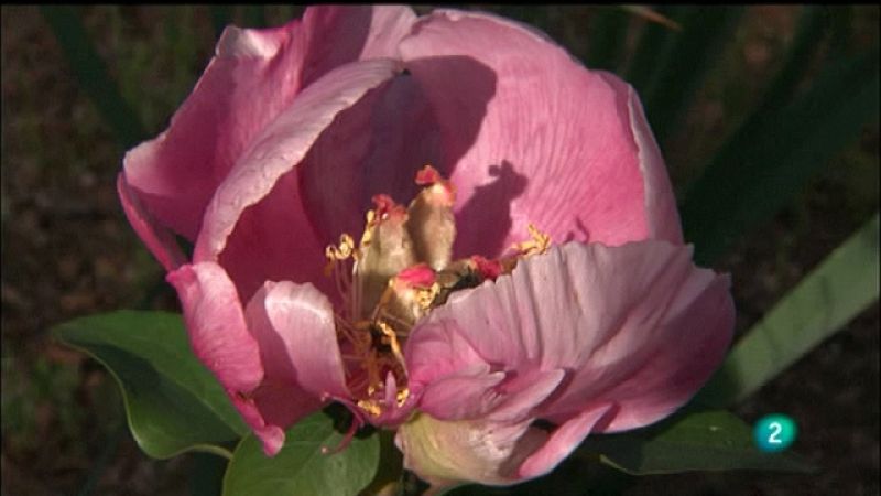 Biodiario - 05/10/11 - Ver ahora