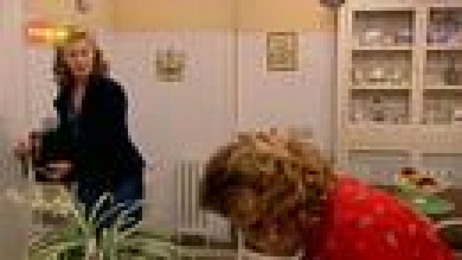 Cuéntame cómo pasó - Mercedes no sabe como echar a Pituca (Capítulo 219)