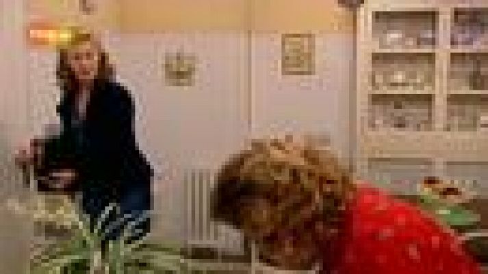 Cuéntame cómo pasó - Anda Pituca, vete...