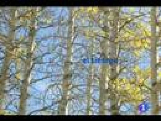 Noticias de Castilla y León - El tiempo enCastilla y León - 06/10/11