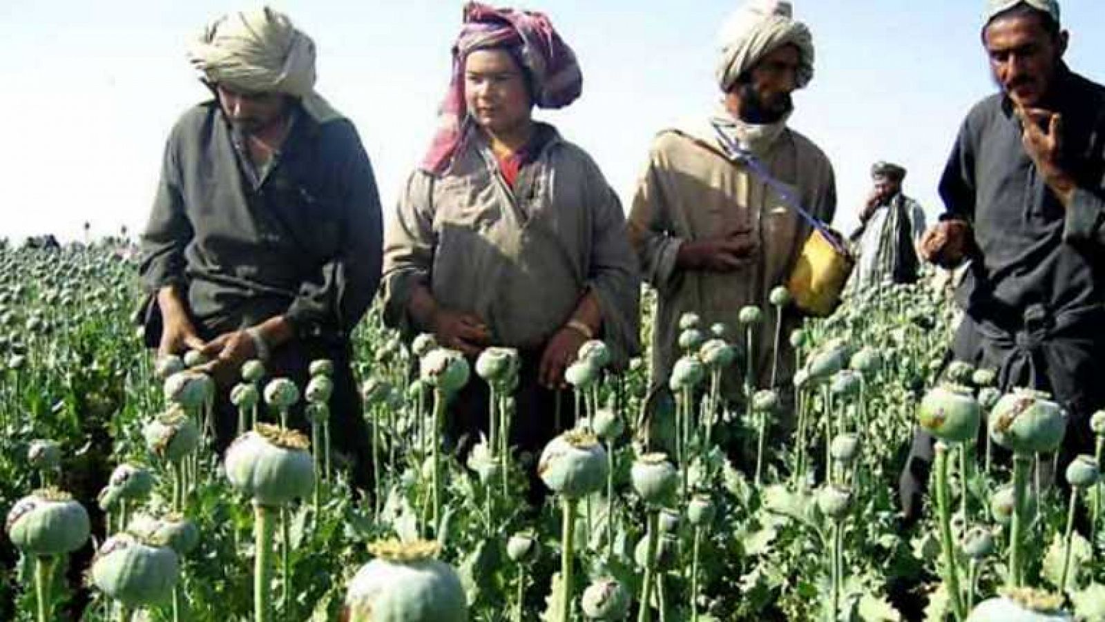 La noche temática - La ruta del opio afgano