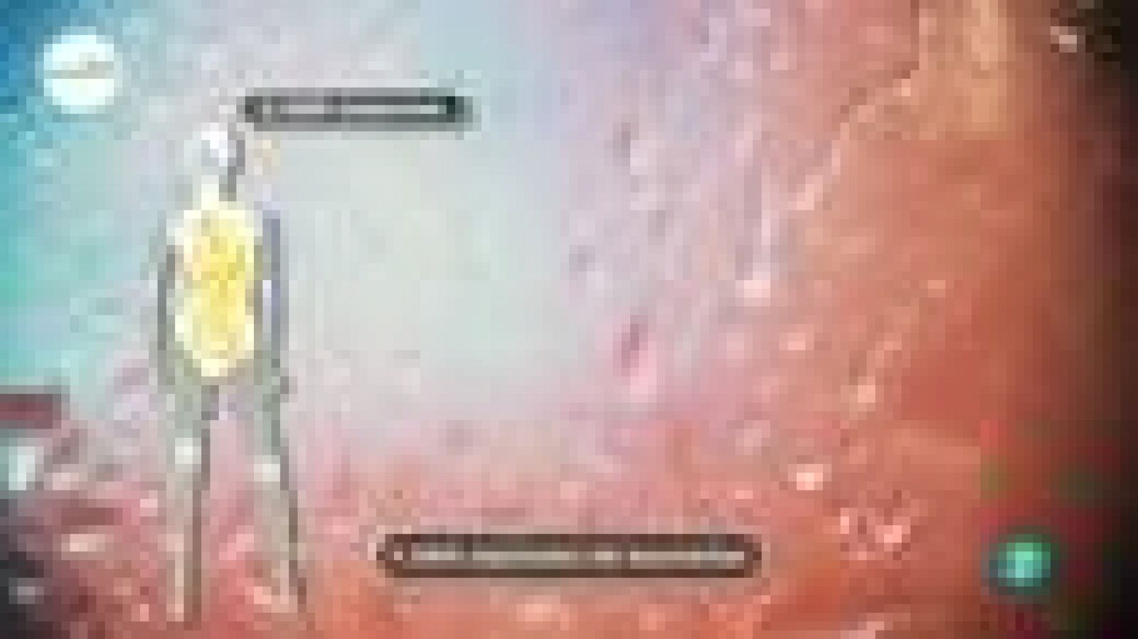 tres14 - curiosidades científicas - Especies de bacterias