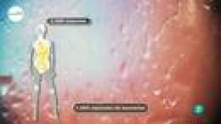 tres14 - Especies de bacterias