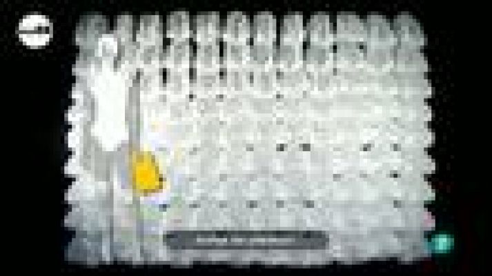 tres14 - Bolsas de plástico