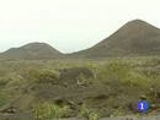 Telediario 1 - Telediario 1 en 4' - 10/10/11