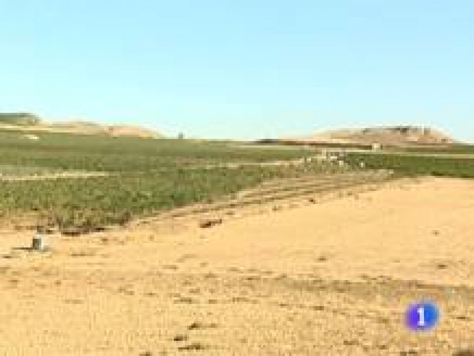 Telerioja en 2' - 10/10/11 | Ver