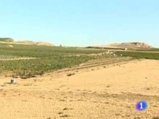 Informativo Telerioja - Telerioja en 2' - 10/10/11