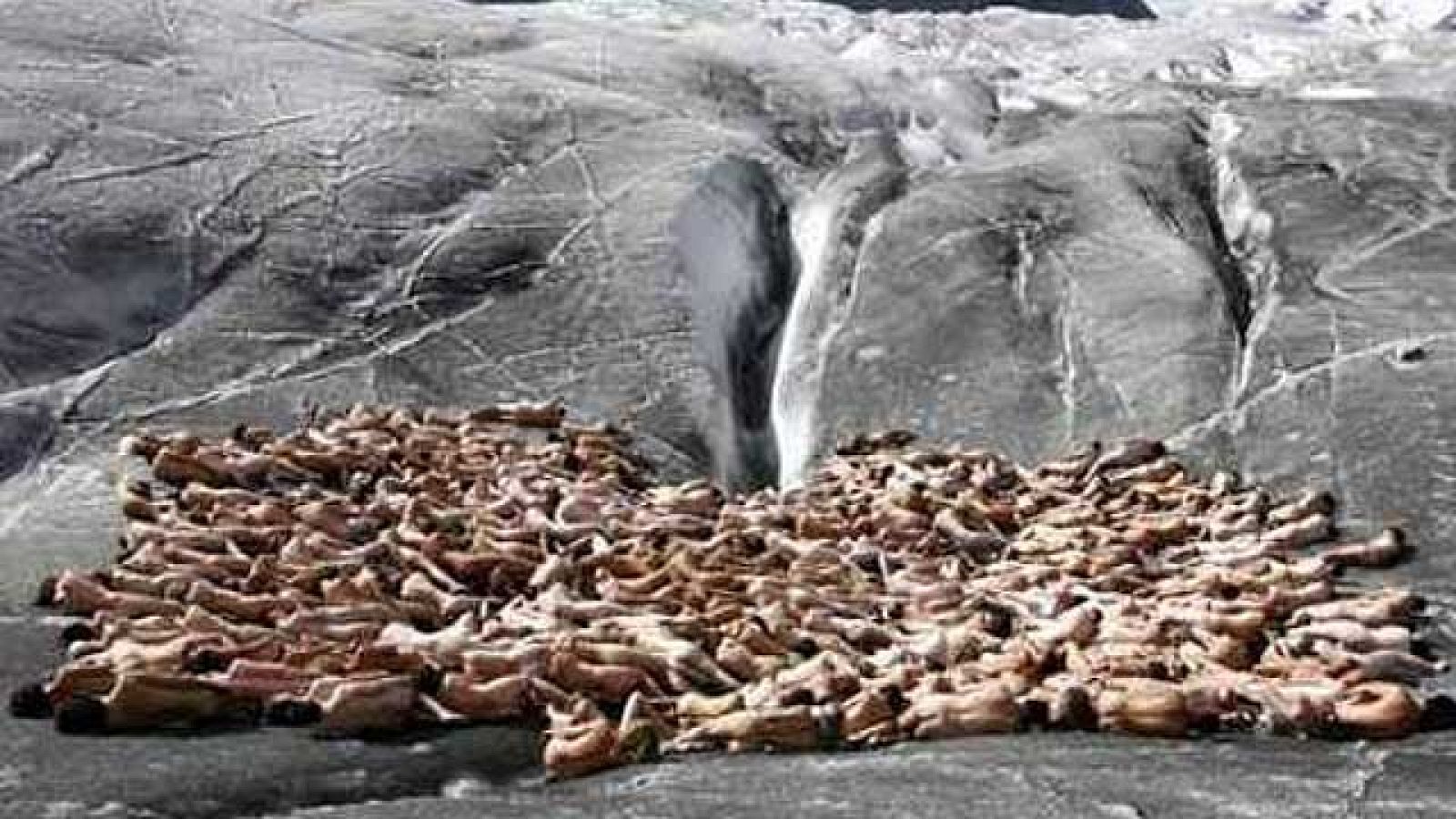 On Off: Tunick se los lleva al agua - On Off | Ver