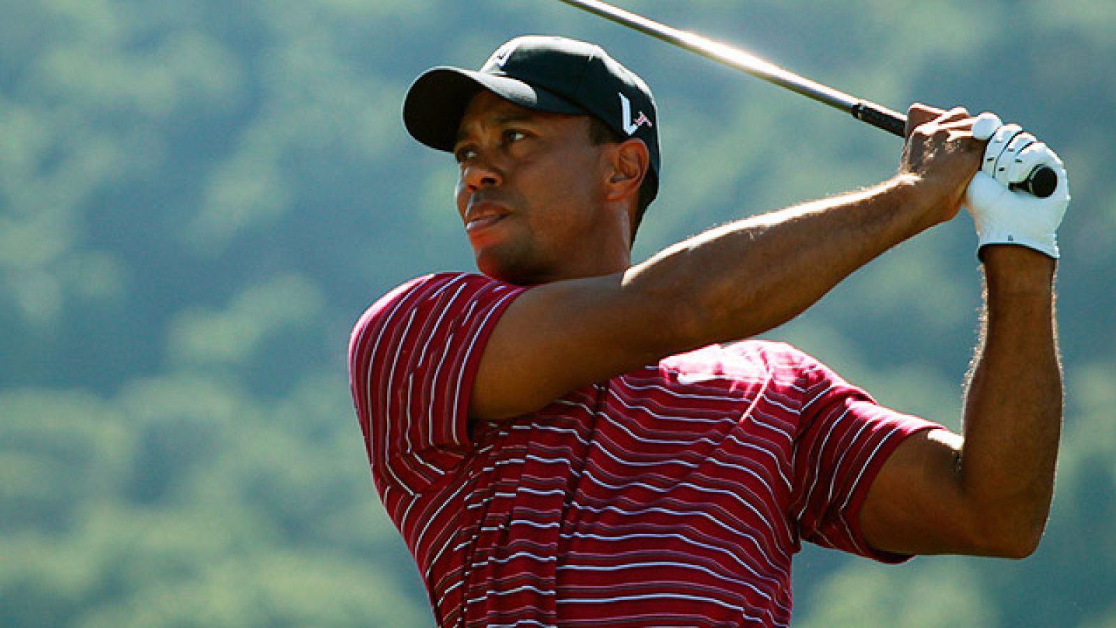 Nuevo incidente en la vida de Tiger Woods. Esta vez llegó volando en forma de perrito caliente de las manos de un aficionado mientras el golfista disputaba un torneo en California.