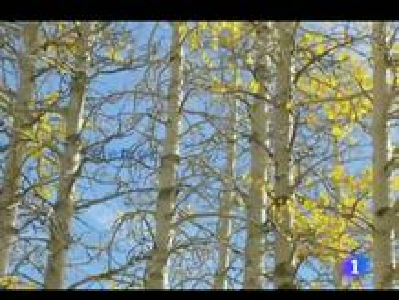 El tiempo en La Rioja - 11/10/11 | Ver