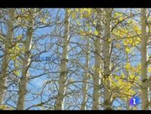 Informativo Telerioja - El tiempo en La Rioja - 11/10/11