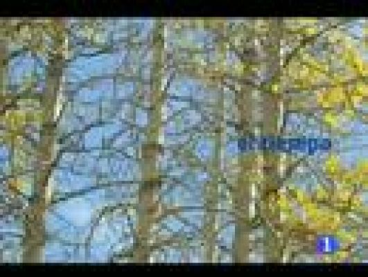 Telecanarias - El tiempo en Canarias - 11/10/11